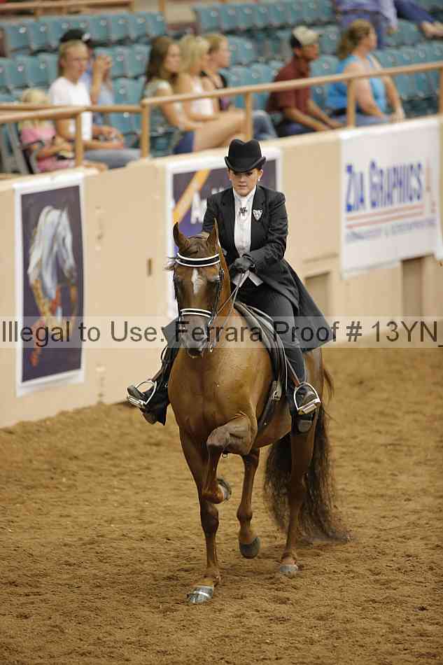Proof 13yn_11003
