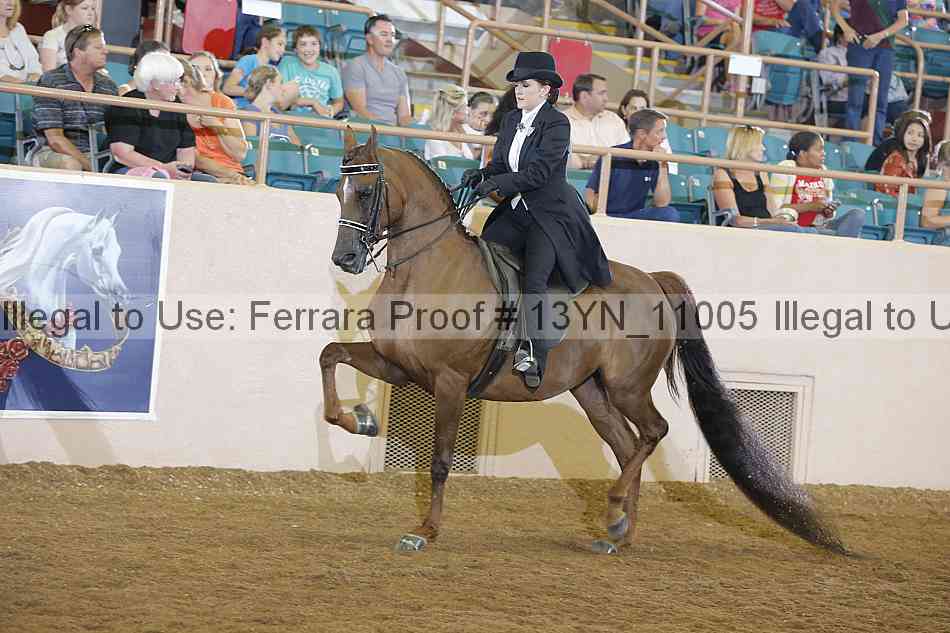 Proof 13yn_11005