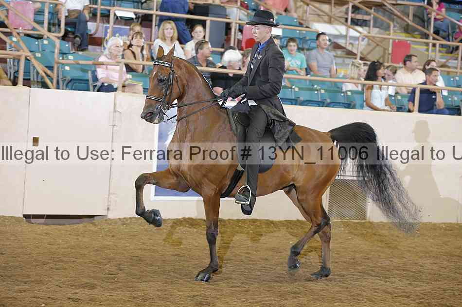 Proof 13yn_11006