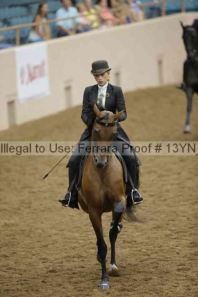 Proof 13yn_11007