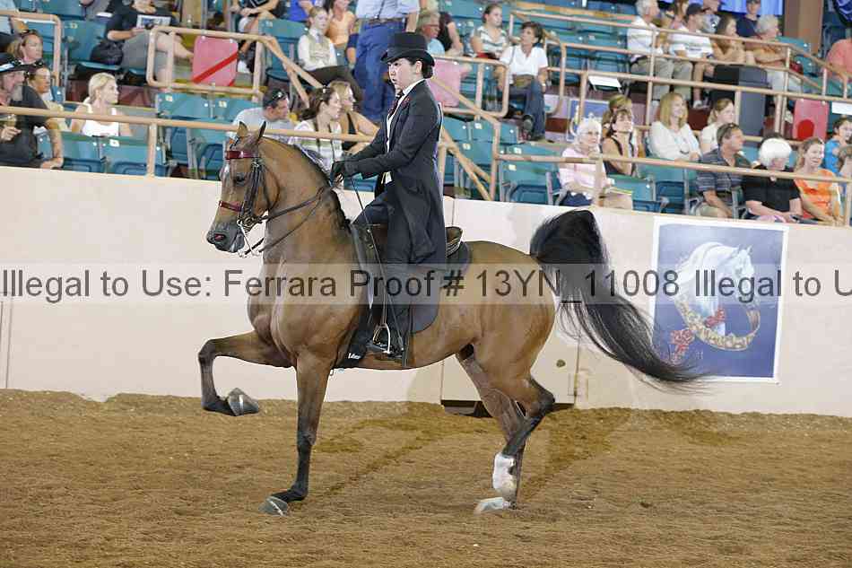 Proof 13yn_11008