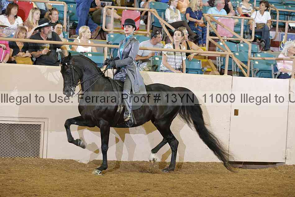 Proof 13yn_11009
