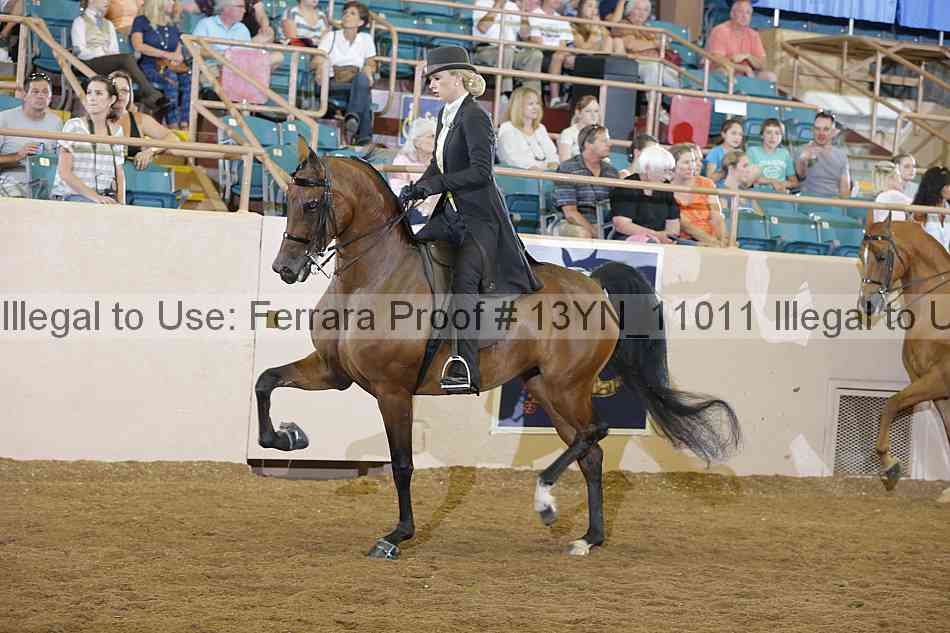 Proof 13yn_11011