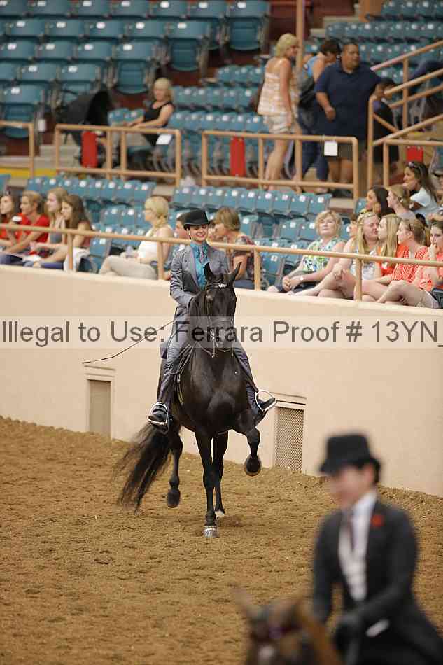 Proof 13yn_11024