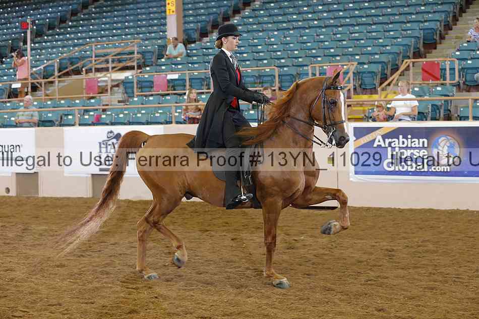 Proof 13yn_11029