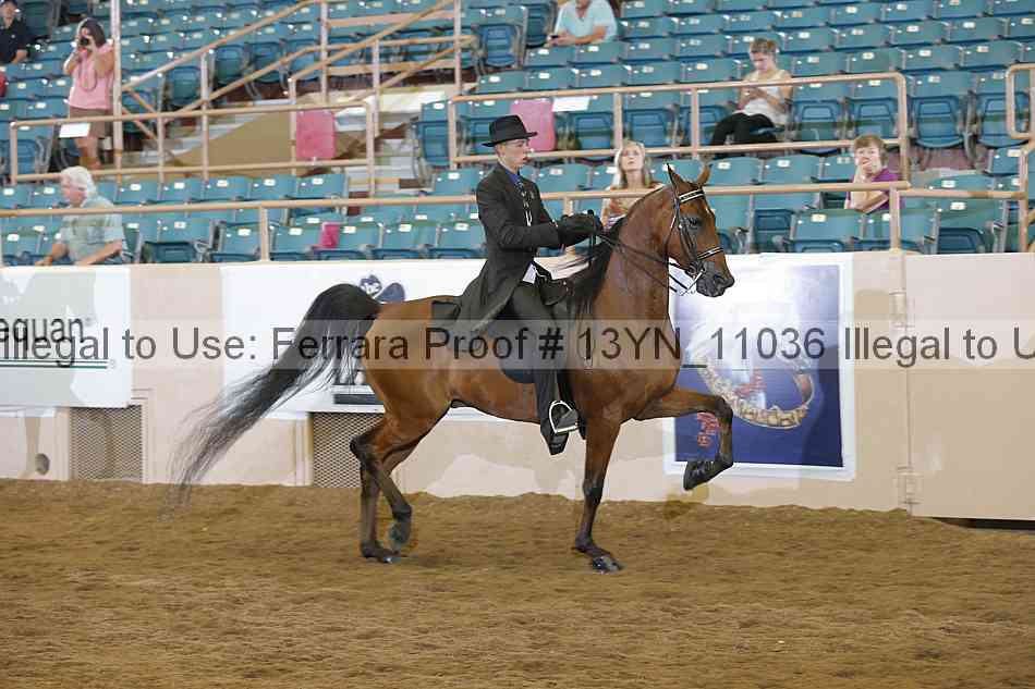 Proof 13yn_11036