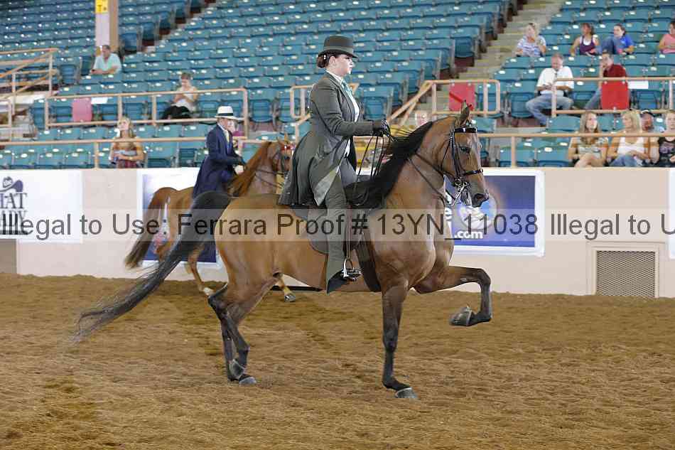 Proof 13yn_11038