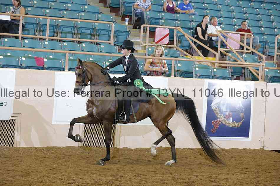 Proof 13yn_11046