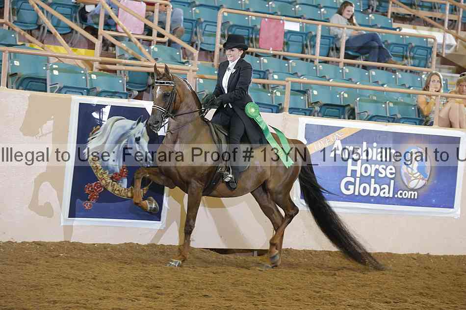 Proof 13yn_11051