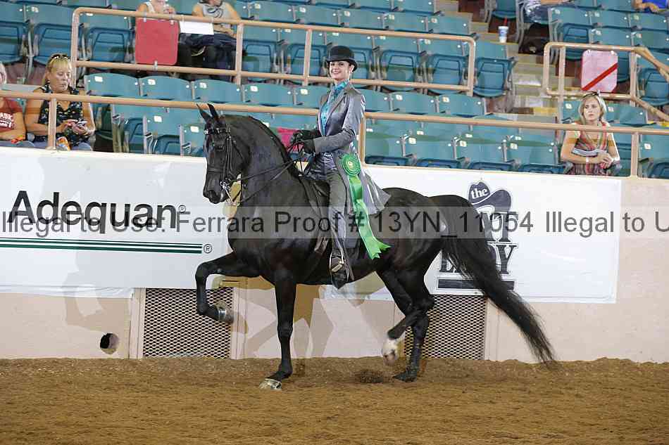 Proof 13yn_11054