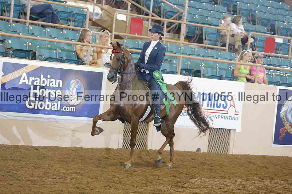 Proof 13yn_11055