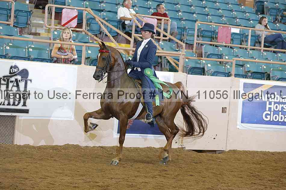 Proof 13yn_11056
