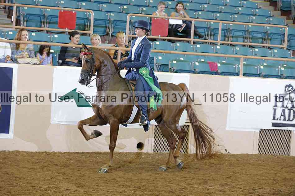 Proof 13yn_11058