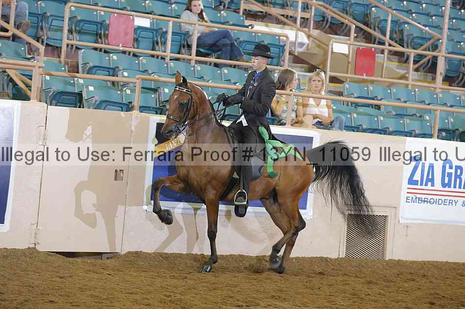 Proof 13yn_11059