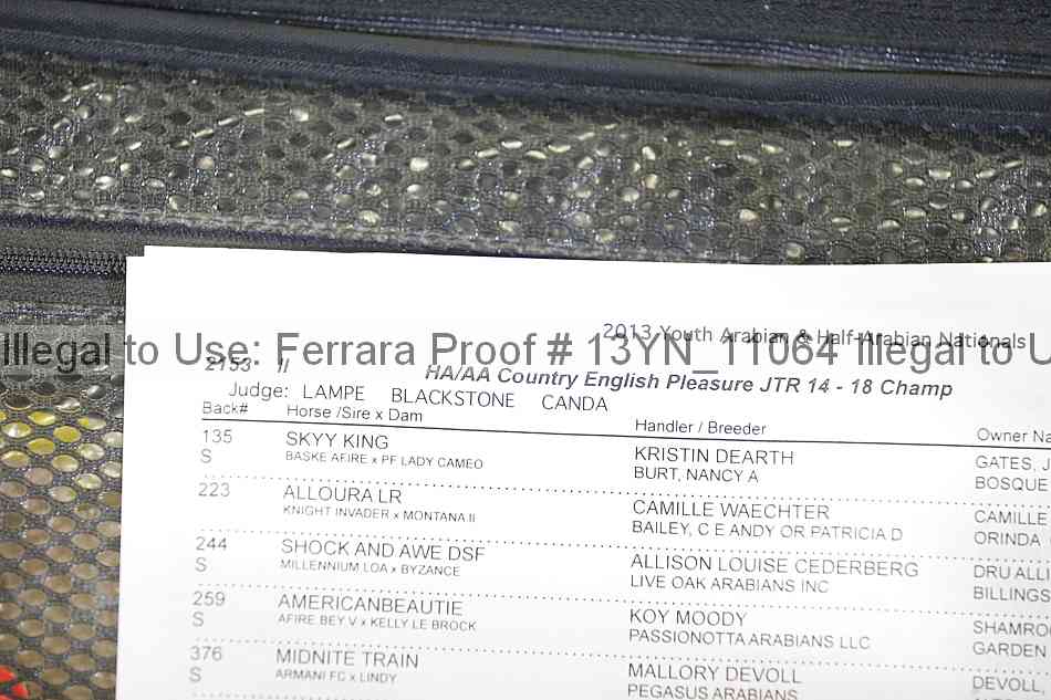 Proof 13yn_11064