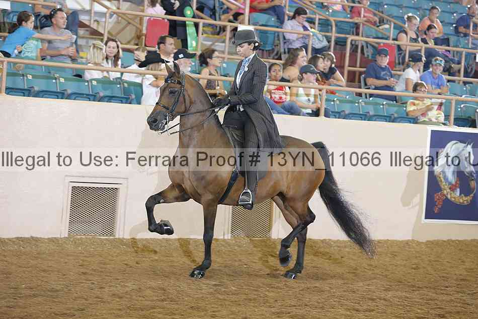 Proof 13yn_11066