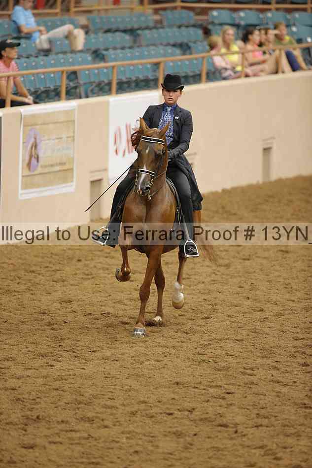 Proof 13yn_11069