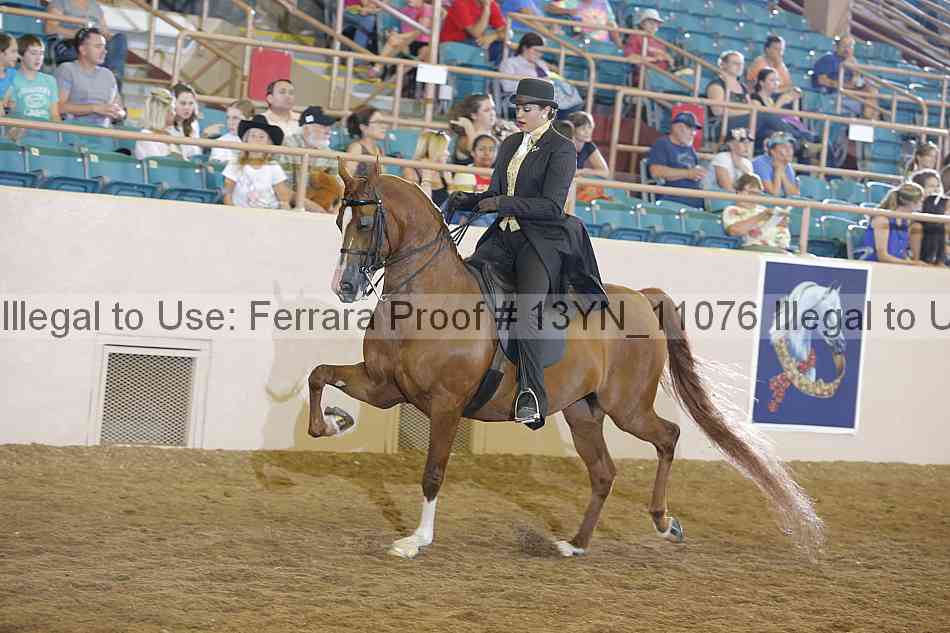 Proof 13yn_11076