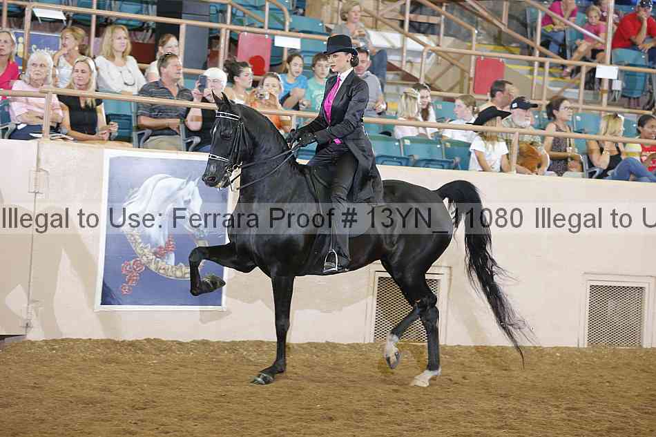 Proof 13yn_11080