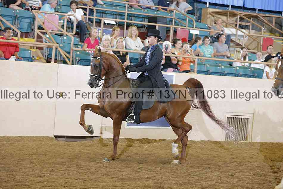 Proof 13yn_11083