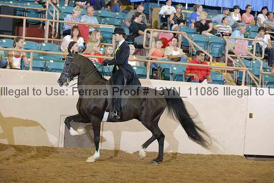 Proof 13yn_11086