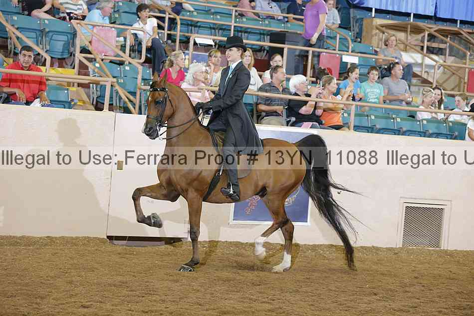 Proof 13yn_11088