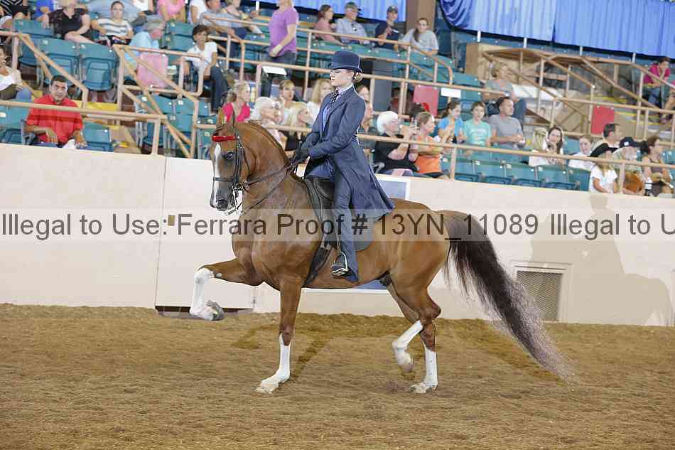 Proof 13yn_11089
