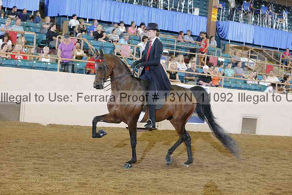 Proof 13yn_11092