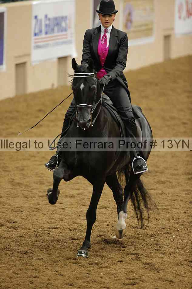 Proof 13yn_11093