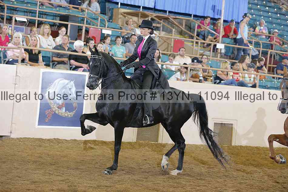 Proof 13yn_11094