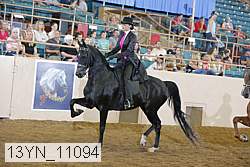 13yn_11094 proof