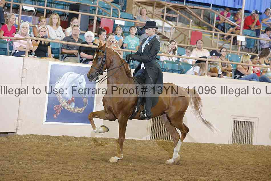 Proof 13yn_11096