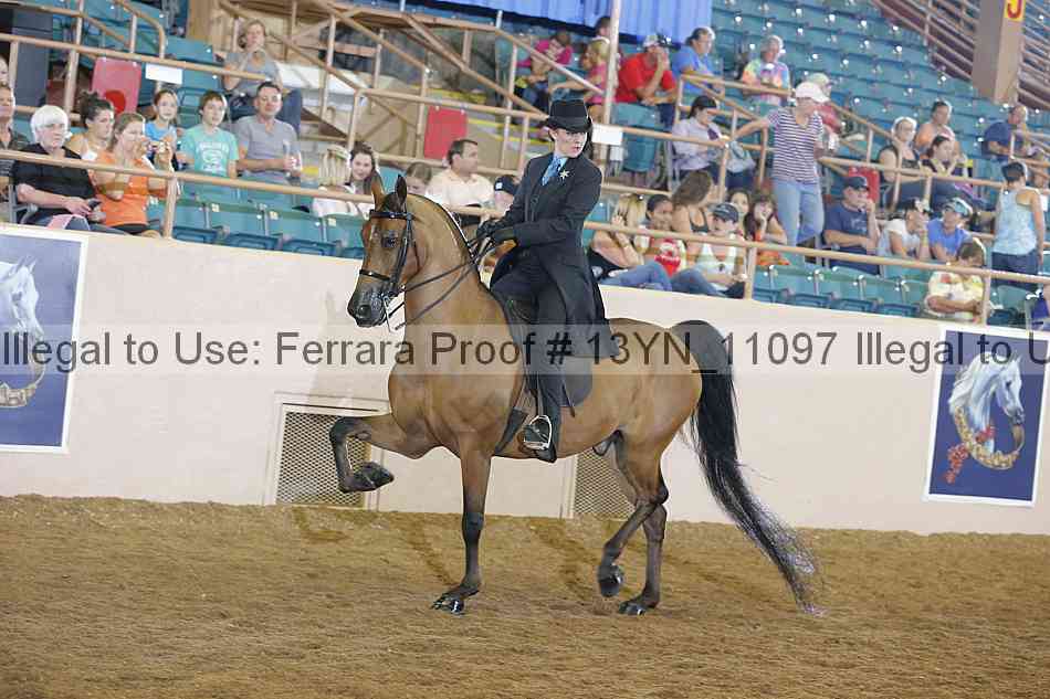 Proof 13yn_11097