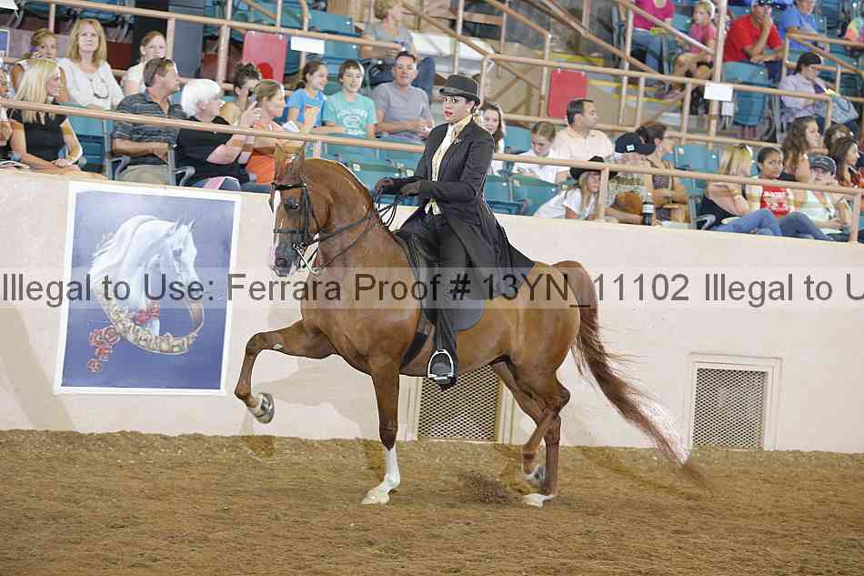 Proof 13yn_11102