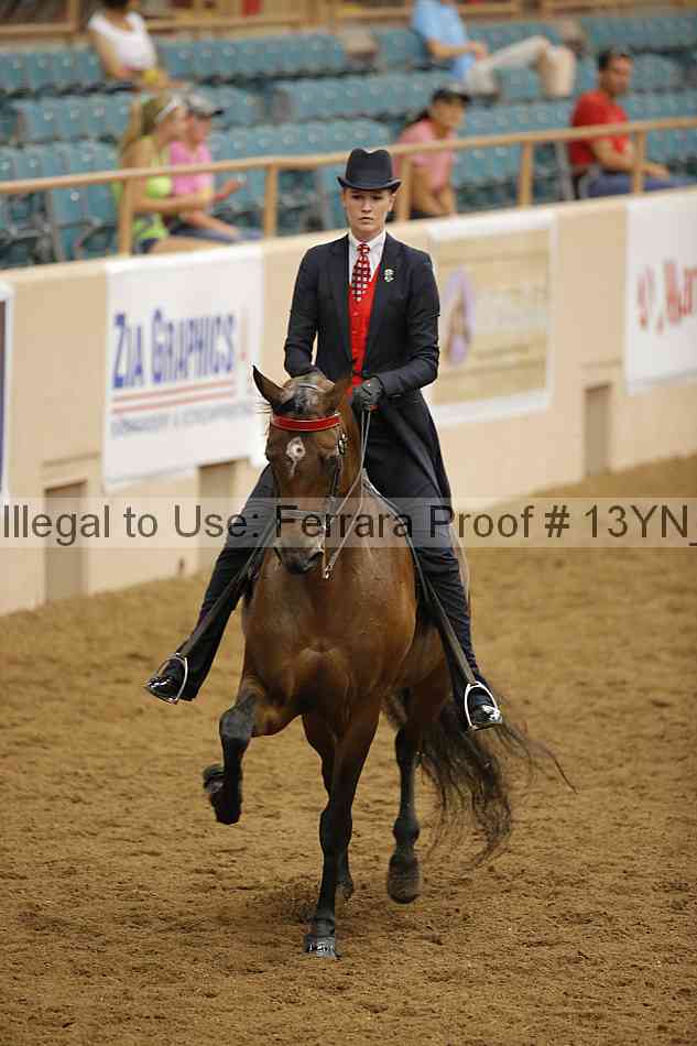 Proof 13yn_11103