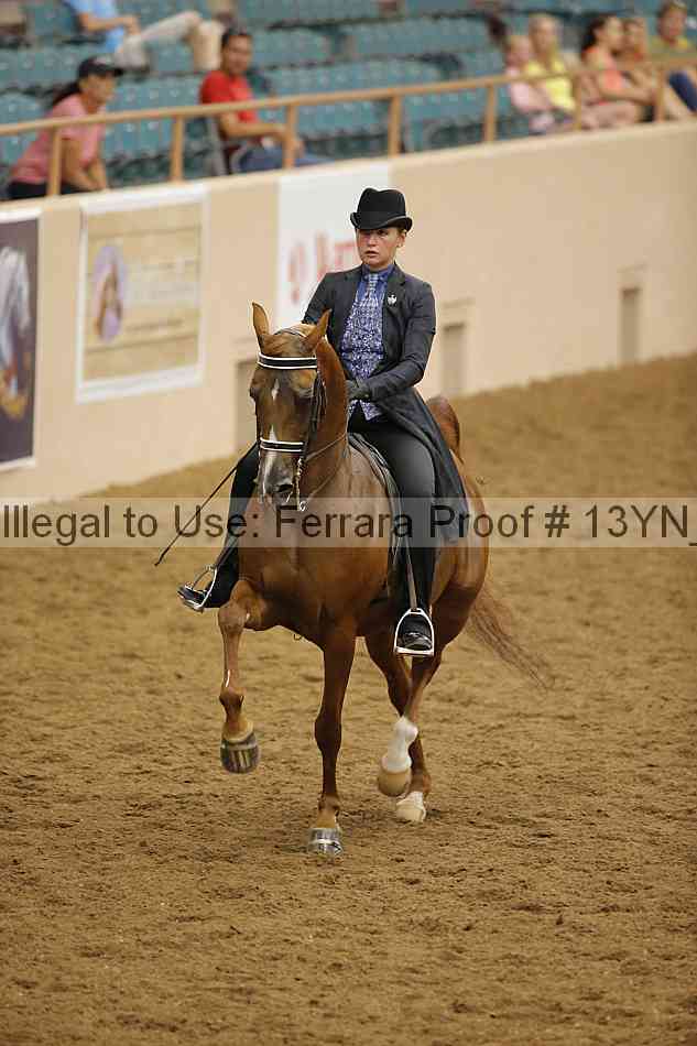 Proof 13yn_11104
