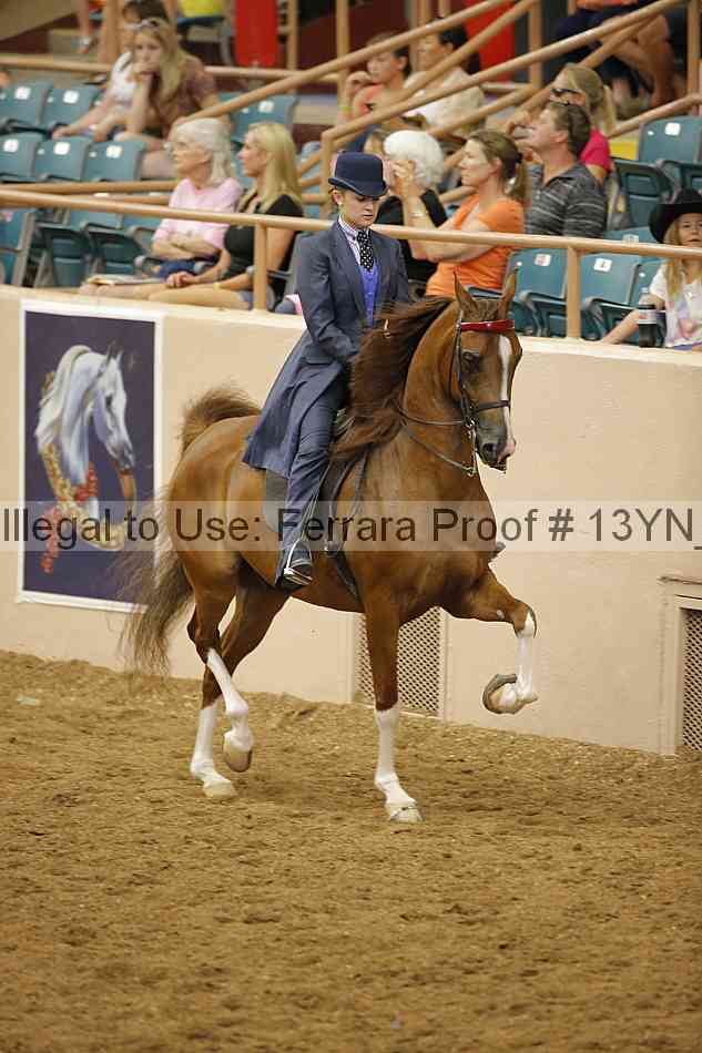 Proof 13yn_11107