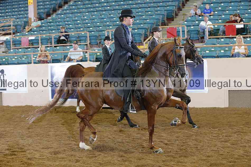 Proof 13yn_11109