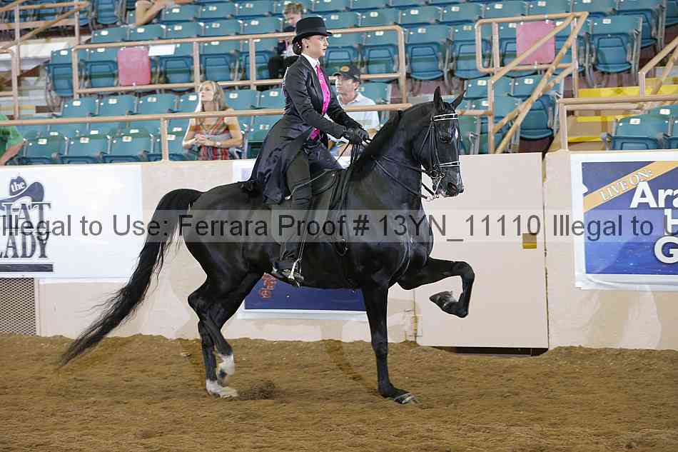 Proof 13yn_11110