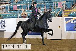 13yn_11110 proof