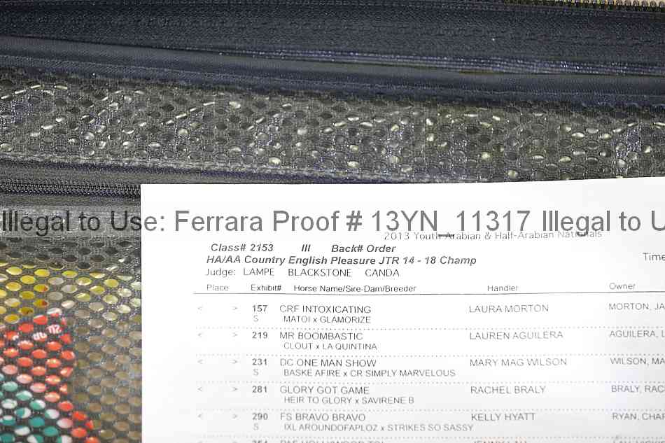Proof 13yn_11317