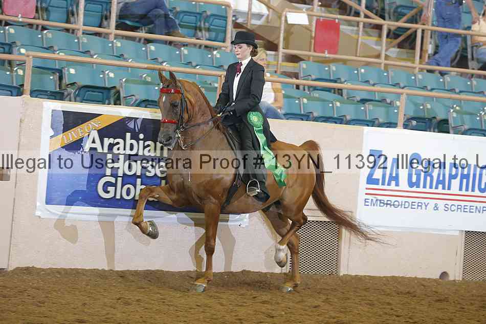 Proof 13yn_11392