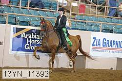 13yn_11392 proof