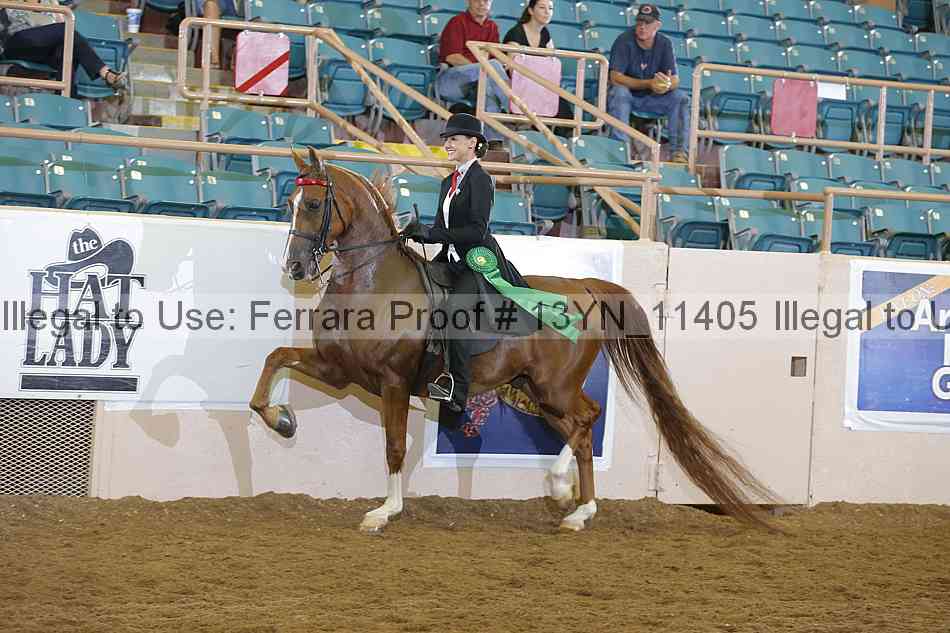 Proof 13yn_11405