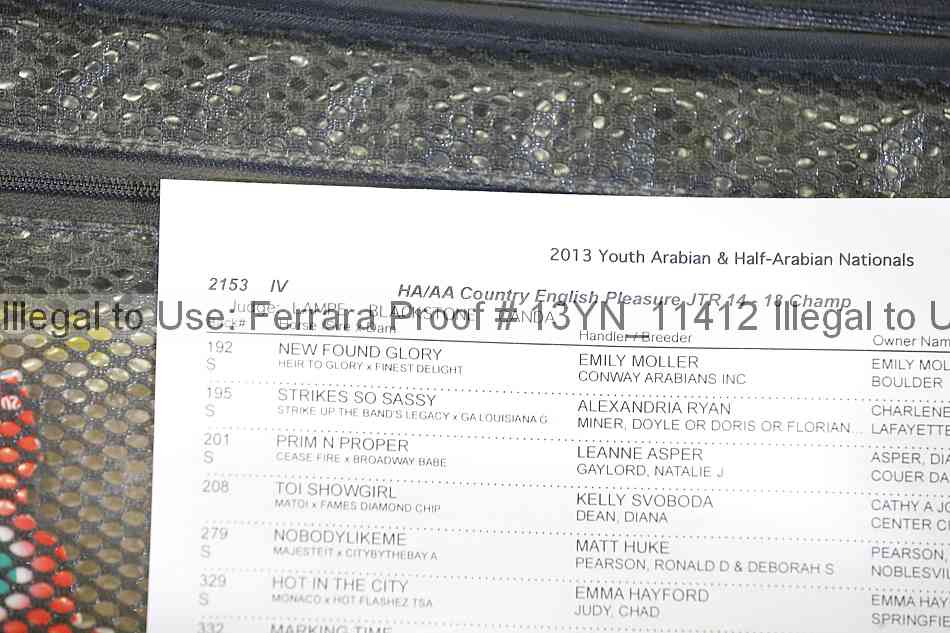 Proof 13yn_11412