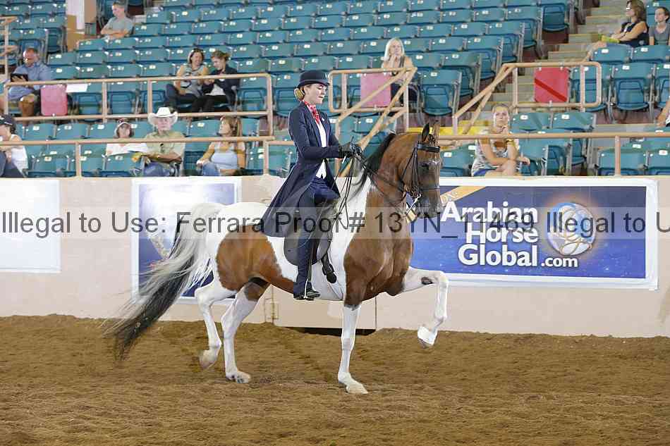 Proof 13yn_11469