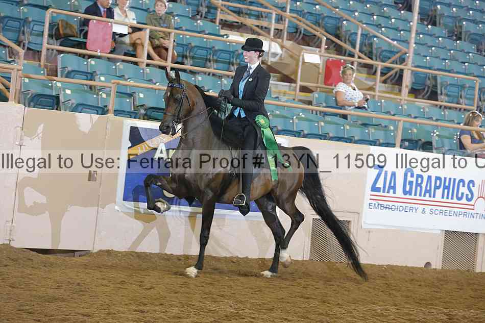 Proof 13yn_11509