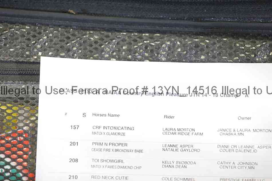 Proof 13yn_14516