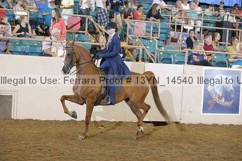 Proof 13yn_14540