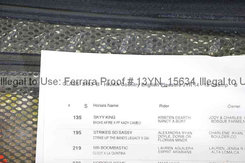 Proof 13yn_15634